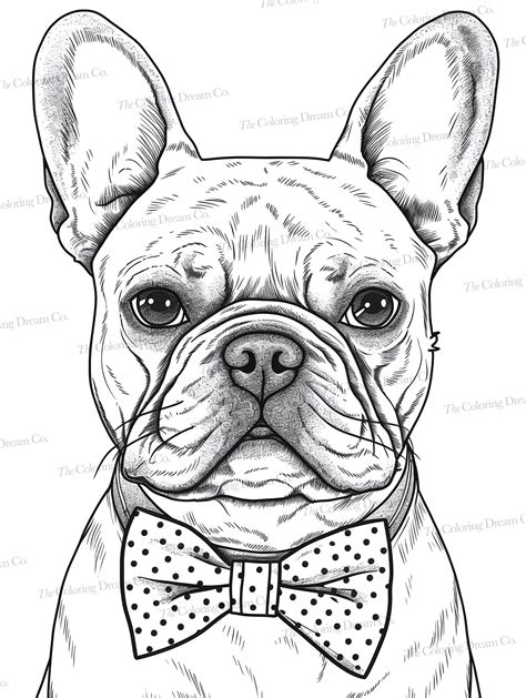 frenchie coloring pages