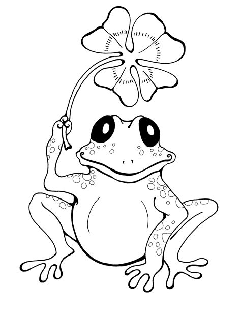 frog pictures to print and color