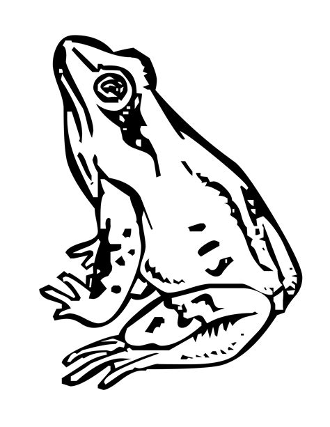 frogs and toads coloring pages