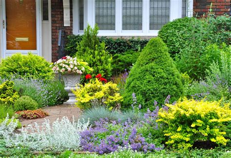 front garden plants