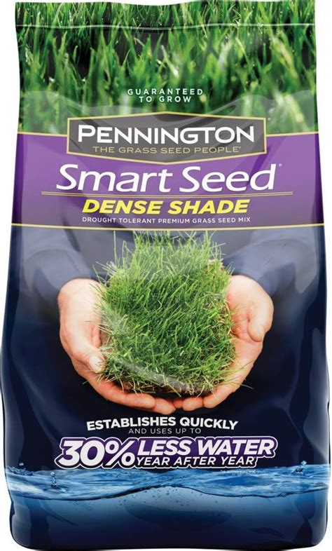 full shade grass seed