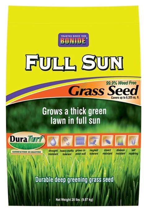 full sun grass seed