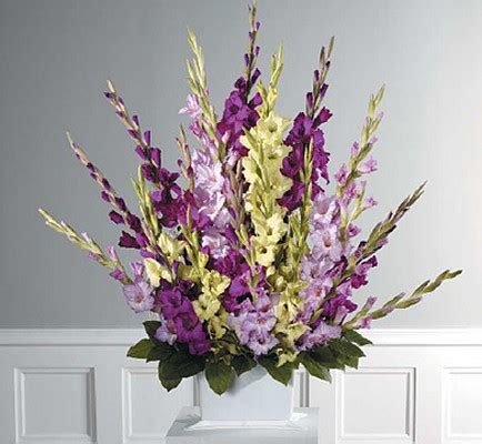 funeral flowers gladiolus