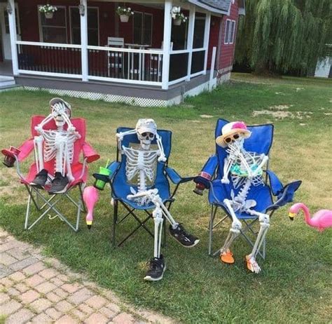 funny skeleton displays