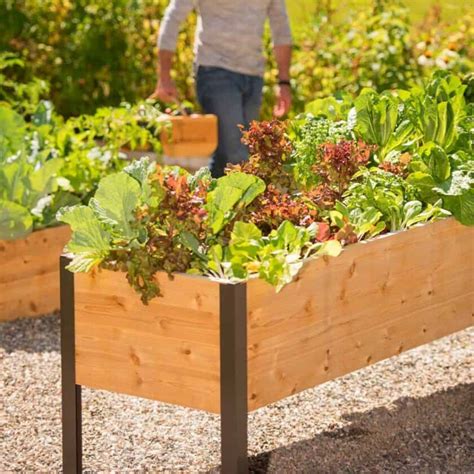garden boxes for vegetables