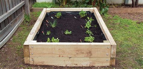 garden boxes for vegetables