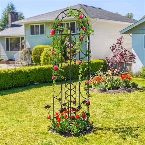 garden climbers