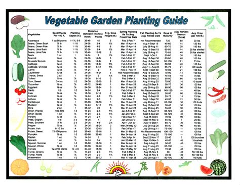 garden planting tips