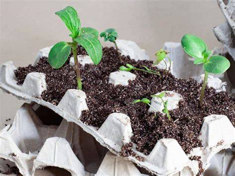 garden recycling