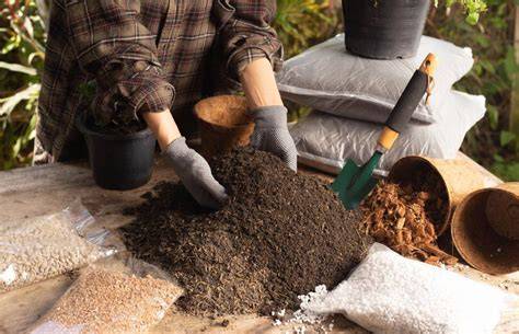 garden soil in containers