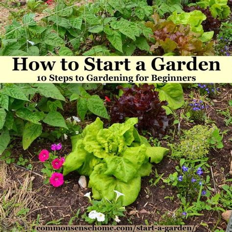 gardening ideas for beginners