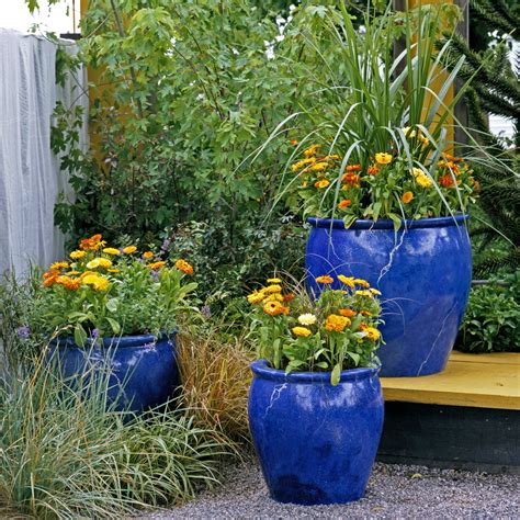 gardening in pots