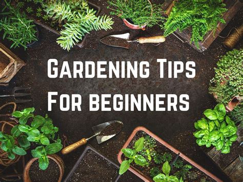 gardening top tips