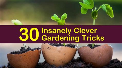 gardening tricks