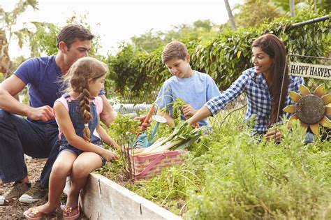 Gardening