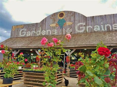 gardens and grains