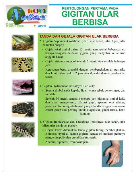 Gejala Gigitan Ular