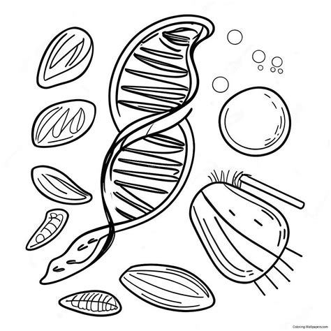 genetics coloring pages