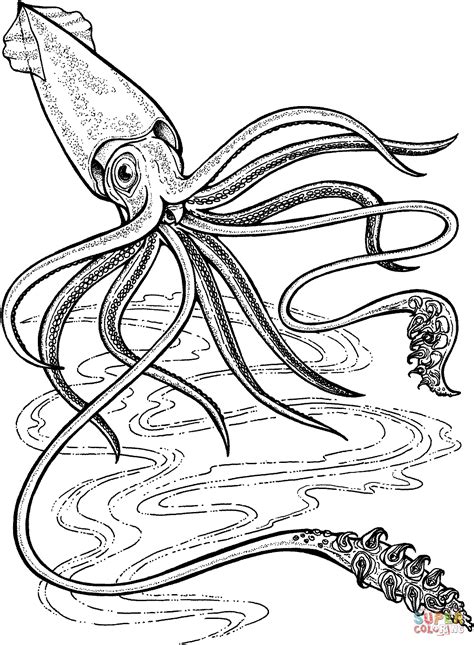 giant squid coloring pages