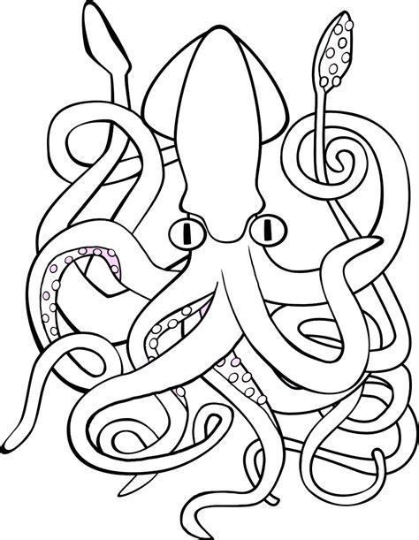 giant squid coloring pages