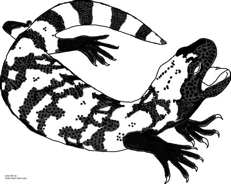 gila monster coloring pages