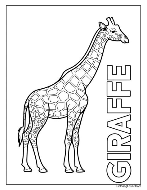 giraffe colouring