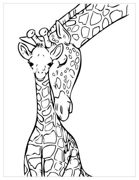 giraffe colouring pages