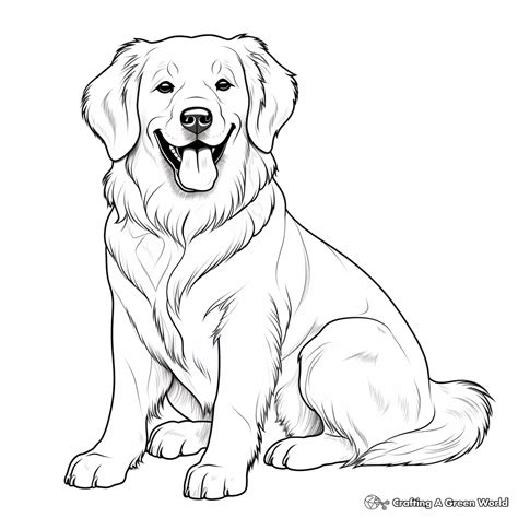 golden retriever coloring pages