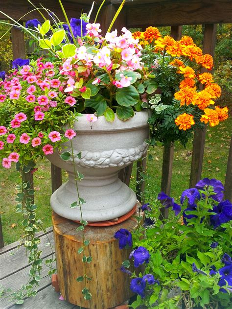 good flowers for pots