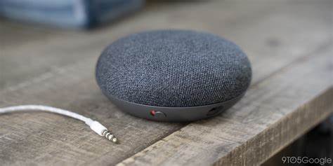 Google Nest Mini Audio