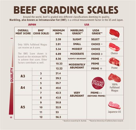 Grades Of Beef Chart