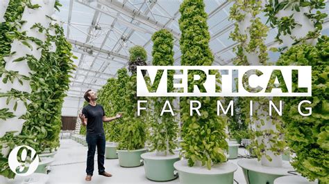 grateful vertical farming