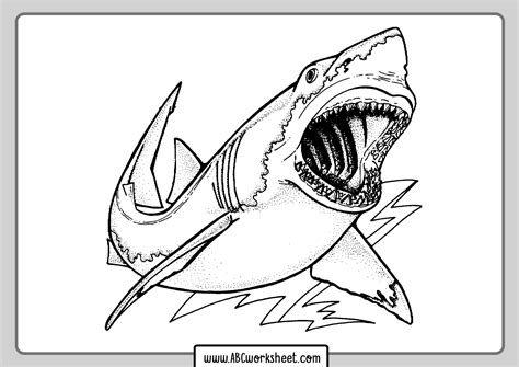 great white shark shark coloring pages