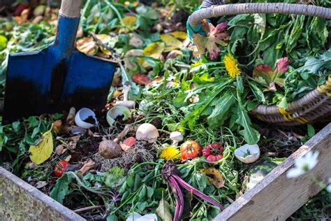 green waste compost