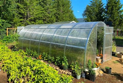 greenhouse wind resistant