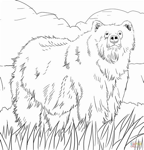 grizzly bear coloring pages