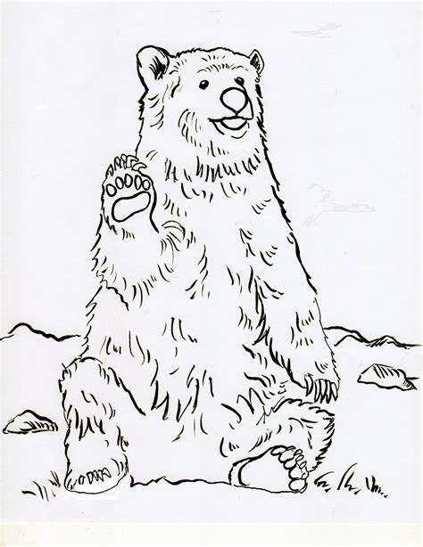 grizzly bear coloring pages