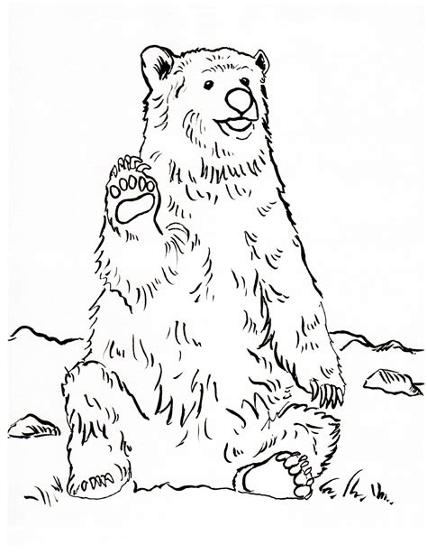 grizzly bear coloring sheet