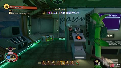 Grounded Hedge Lab Walkthrough