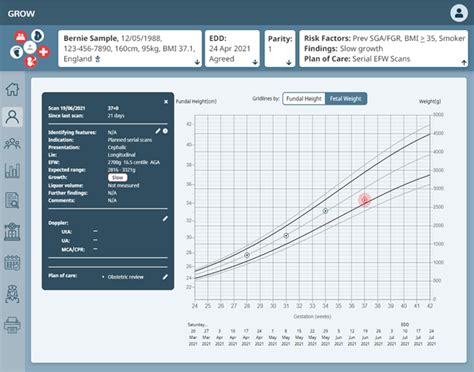 Grow 2 0 Walkthrough