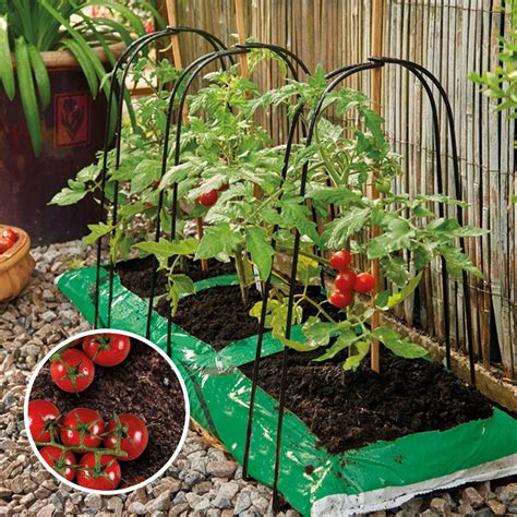 grow bag frame