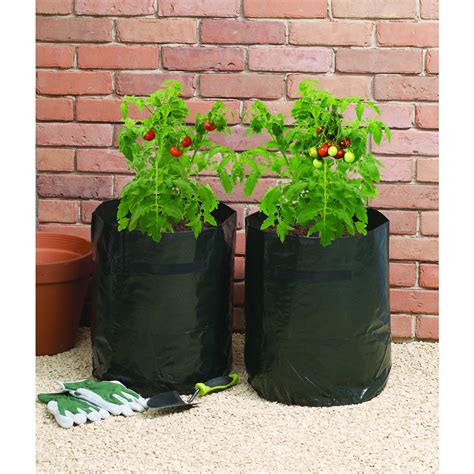 grow bags for tomatoes