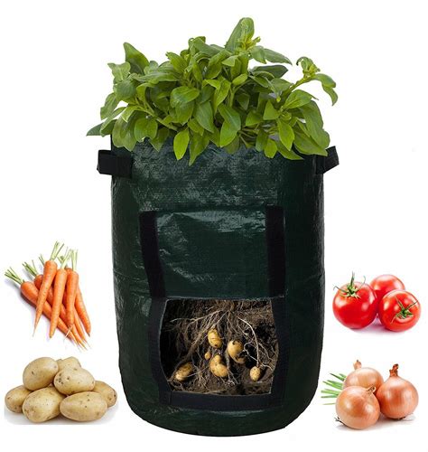 grow bags for vegetables