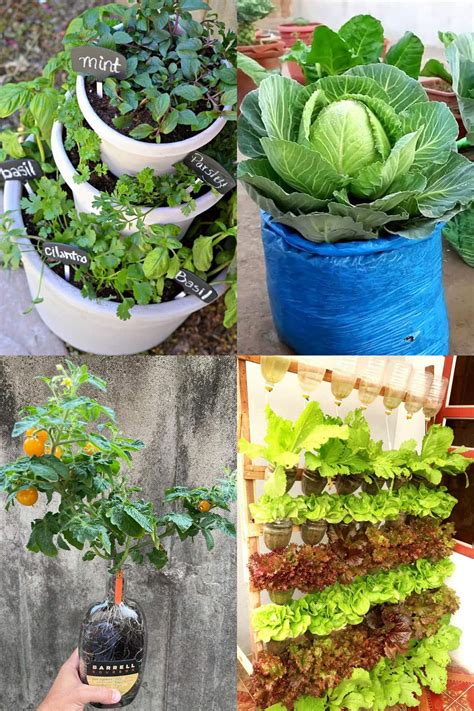 growing vegetables in containers ideas