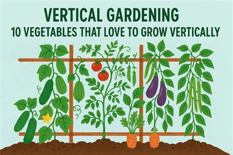 growing veggies vertically