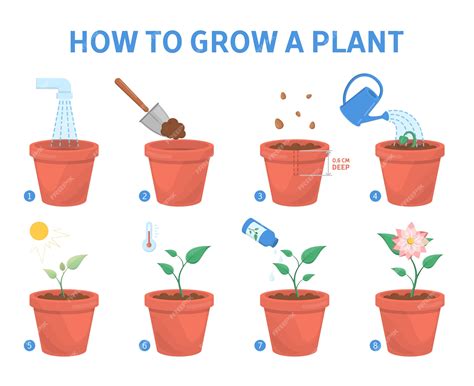 guide to growing flowers