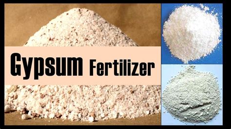 gypsum fertilizer