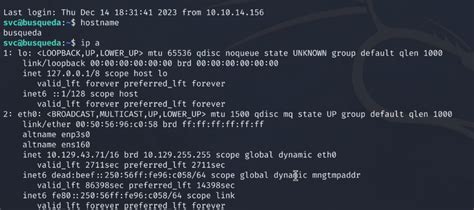 Hack The Box Busqueda Walkthrough