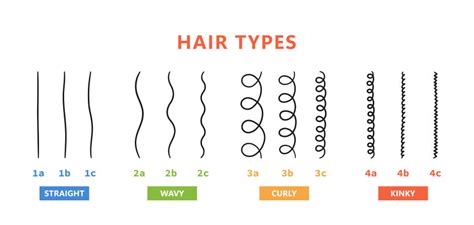 Hair Types Chart