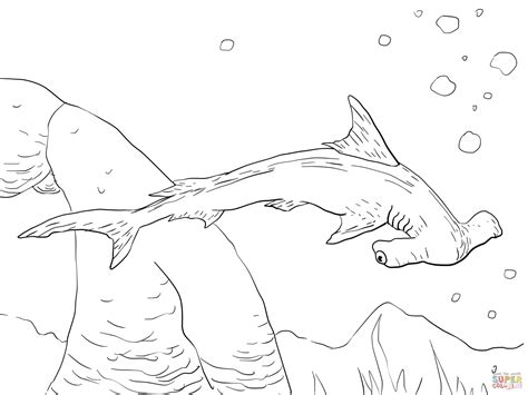 hammerhead coloring pages